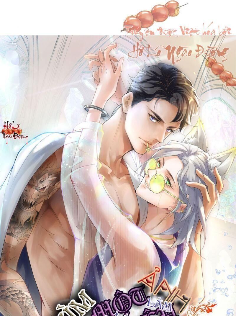 Ảnh Đế Yêu Hồ Chapter 11 - Trang 0