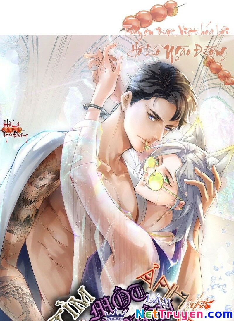 Ảnh Đế Yêu Hồ Chapter 16 - Trang 0