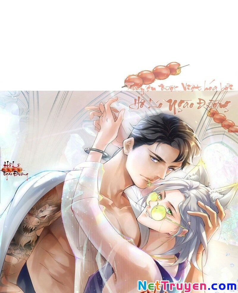 Ảnh Đế Yêu Hồ Chapter 50 - Trang 0