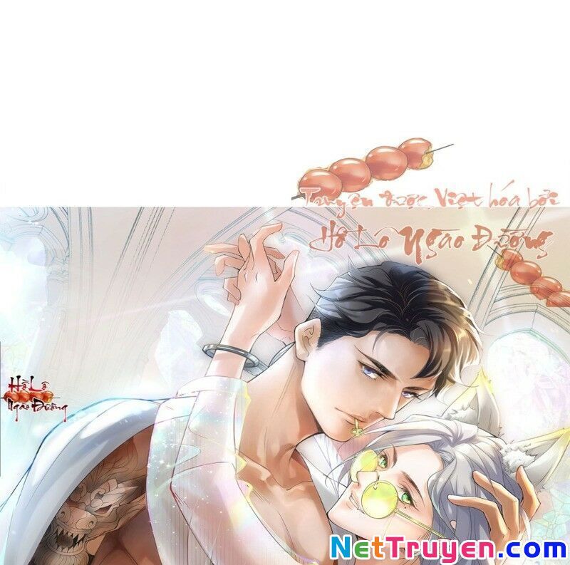 Ảnh Đế Yêu Hồ Chapter 42 - Trang 0