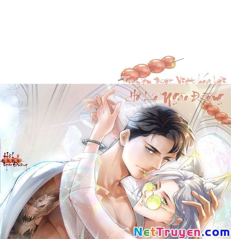 Ảnh Đế Yêu Hồ Chapter 56 - Trang 0
