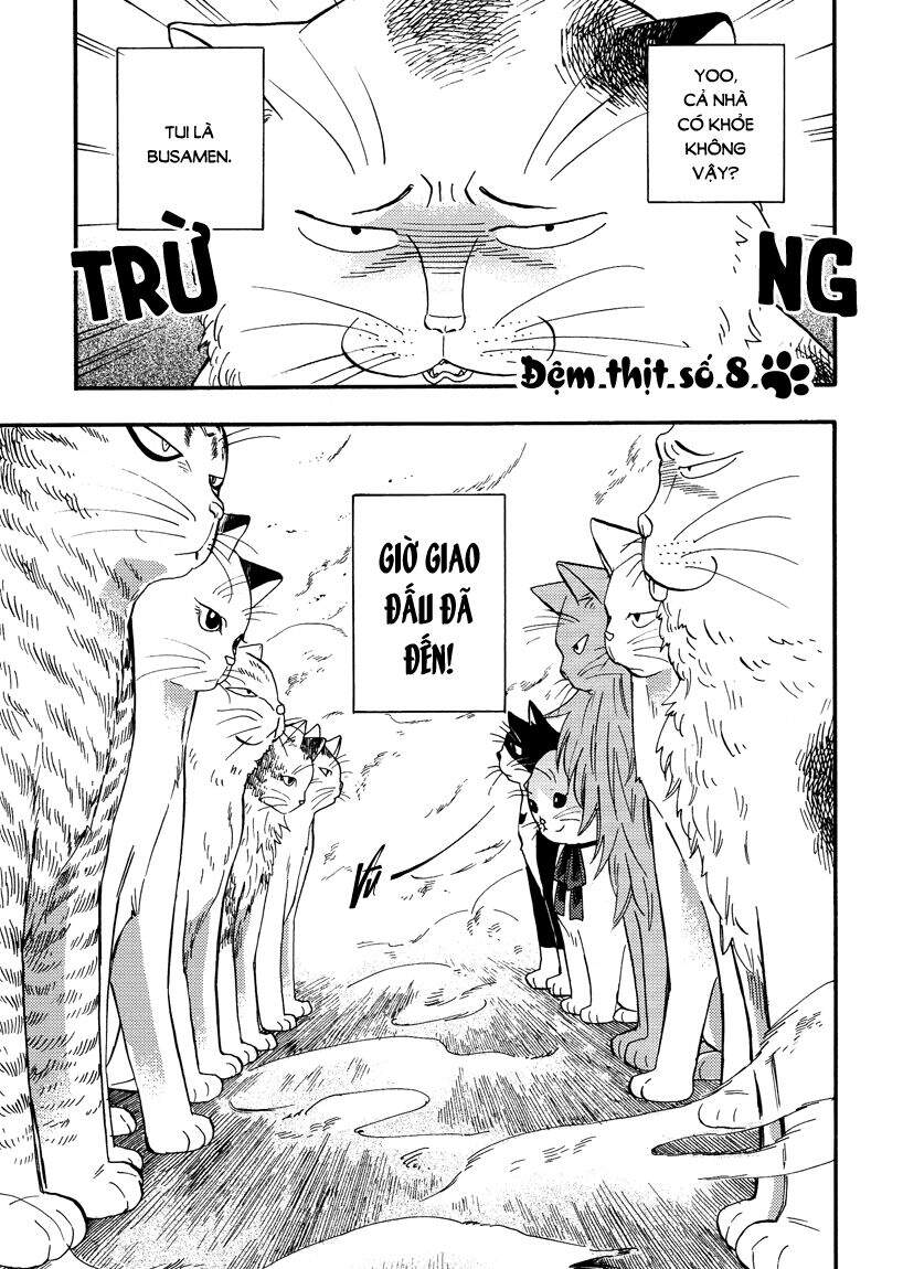 Tui Là Busamen Chapter 8 - Trang 0