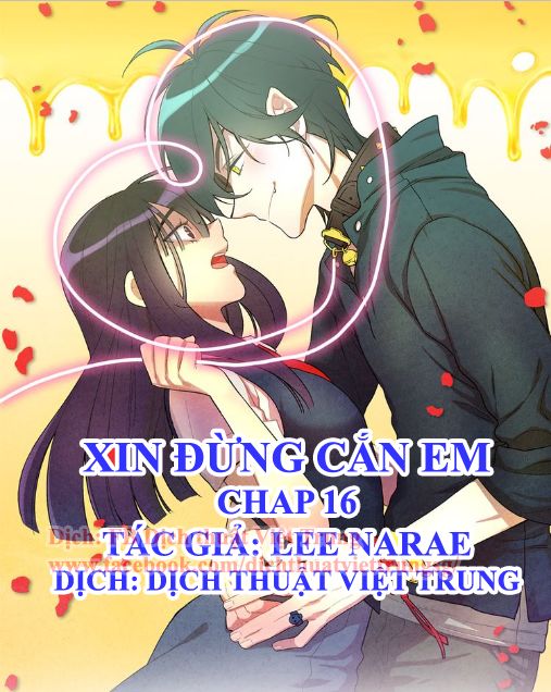 Xin Đừng Cắn Em Chapter 16 - Trang 0