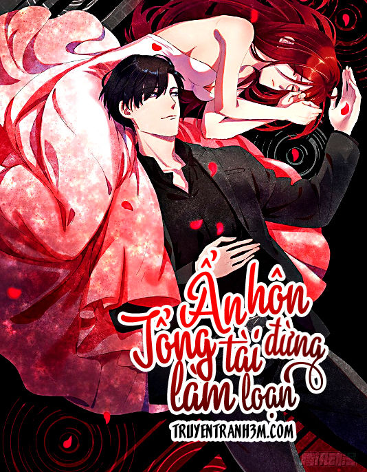 Ẩn Hôn Tổng Tài Đừng Làm Loạn Chapter 5 - Trang 0