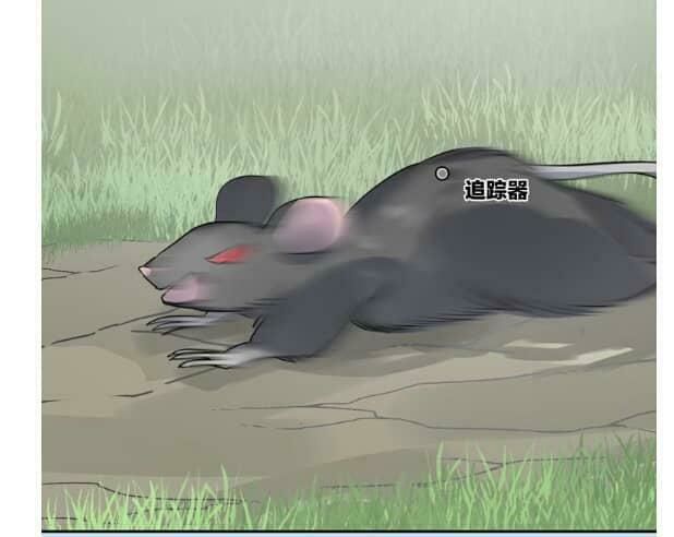 Bộ Váy Của Nhân Ngư Chapter 24 - Trang 0