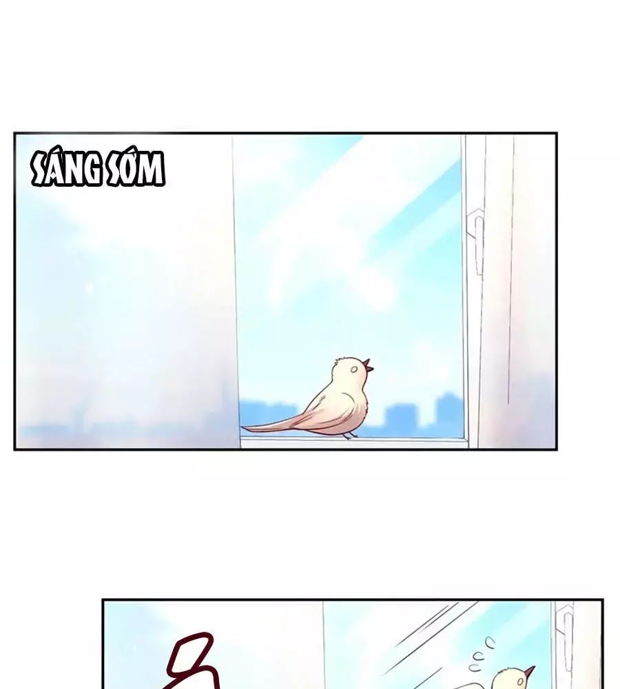 Hai Mặt Cuốn Hút Của Anh Chapter 34 - Trang 0