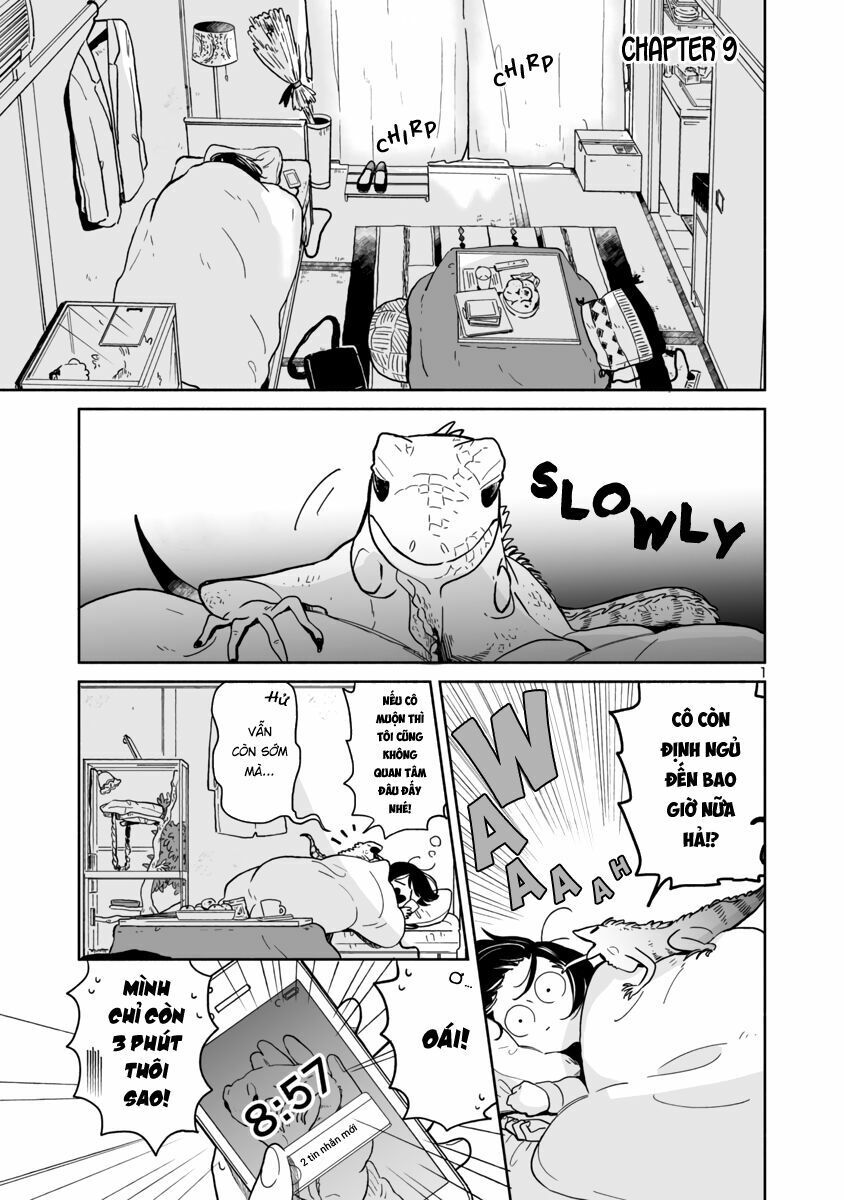 Majo-Senpai Nichijou Chapter 9 - Trang 0