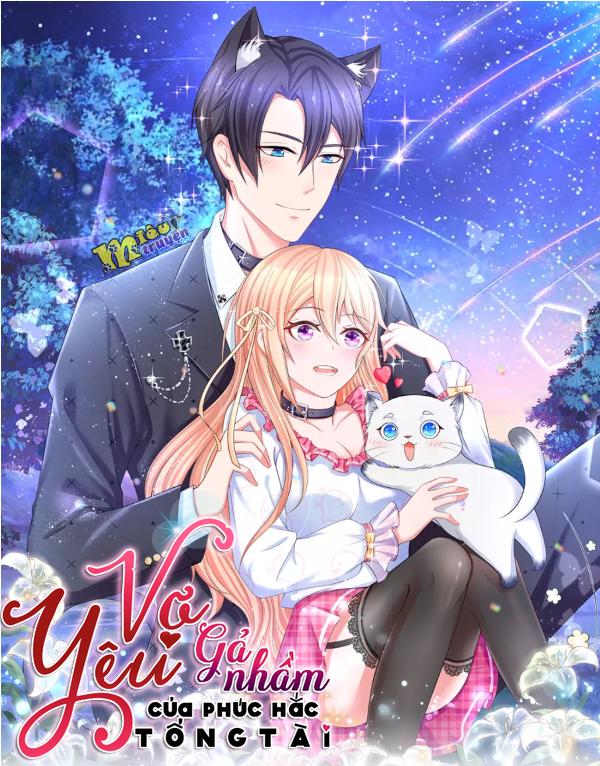 Vợ Yêu Gả Nhầm Của Phúc Hắc Tổng Tài Chapter 1 - Trang 0