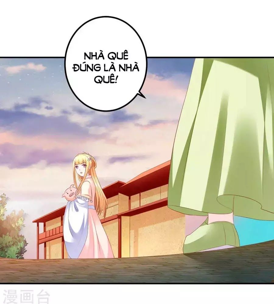 Từ Đây Vương Gia Không Thượng Triều Sớm Chapter 90 - Trang 0