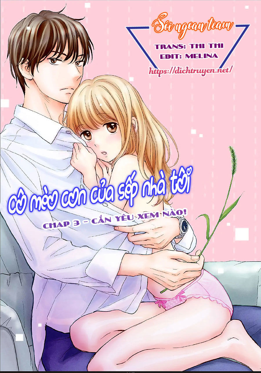 Cô Mèo Con Của Sếp Nhà Tôi Chapter 3 - Trang 0