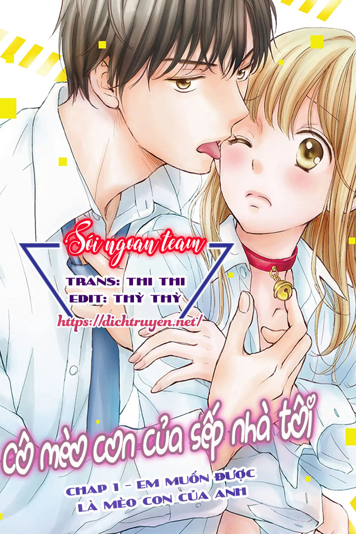 Cô Mèo Con Của Sếp Nhà Tôi Chapter 1 - Trang 0
