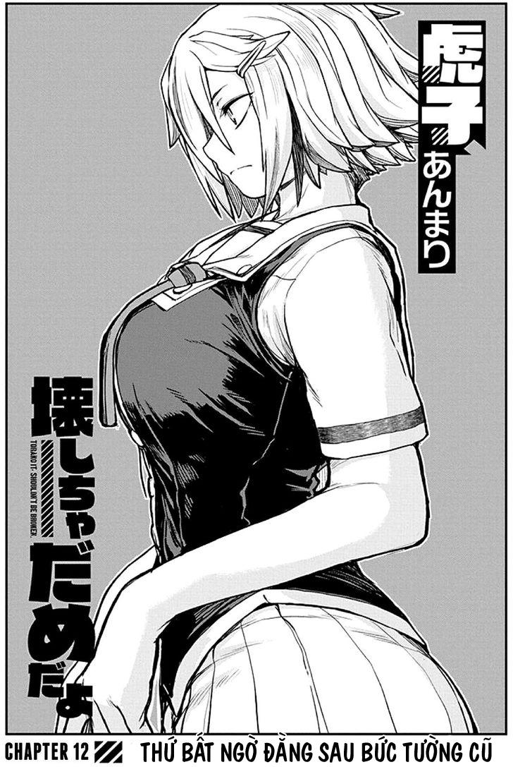 Torako, Anmari Kowashicha Damedayo Chapter 12 - Trang 0