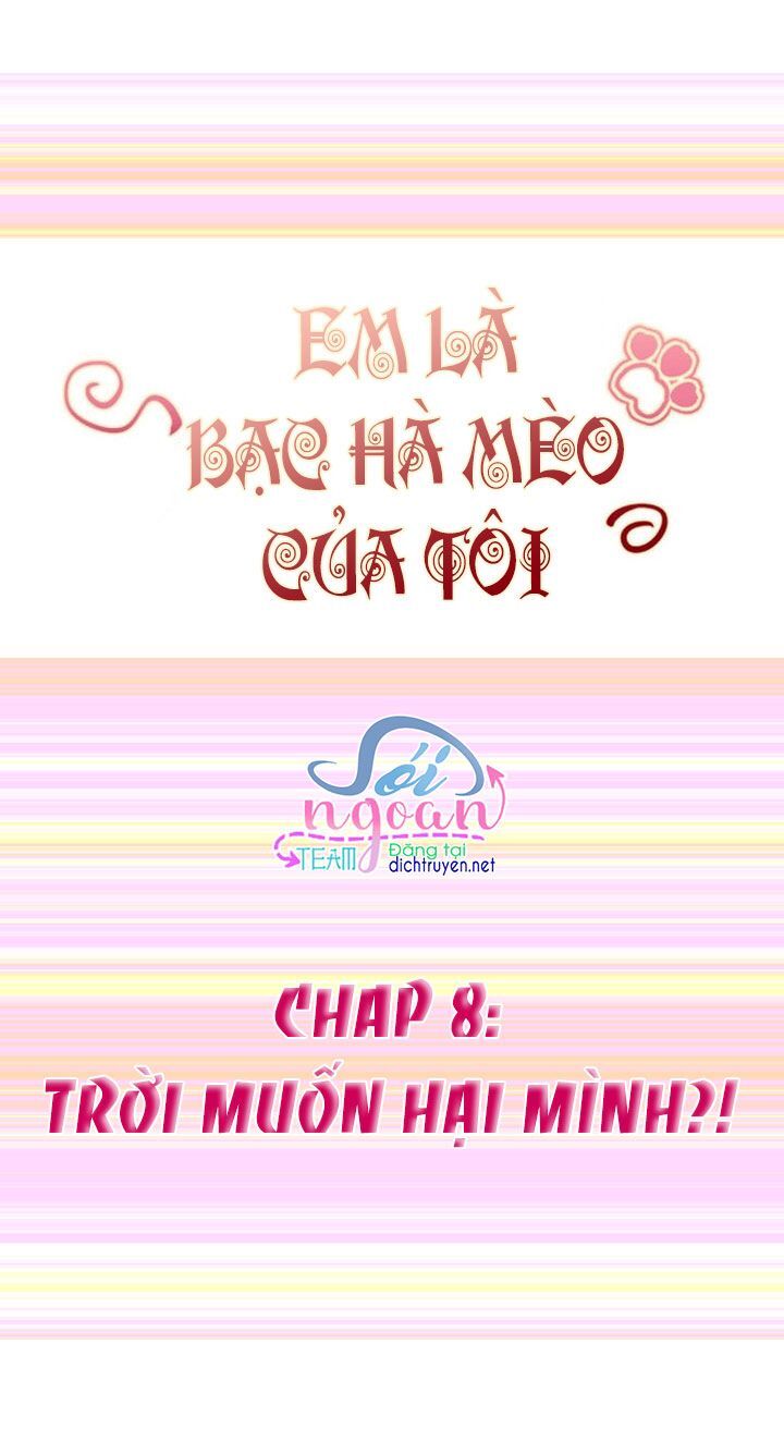Em Là Bạc Hà Mèo Của Tôi Chapter 8 - Trang 0