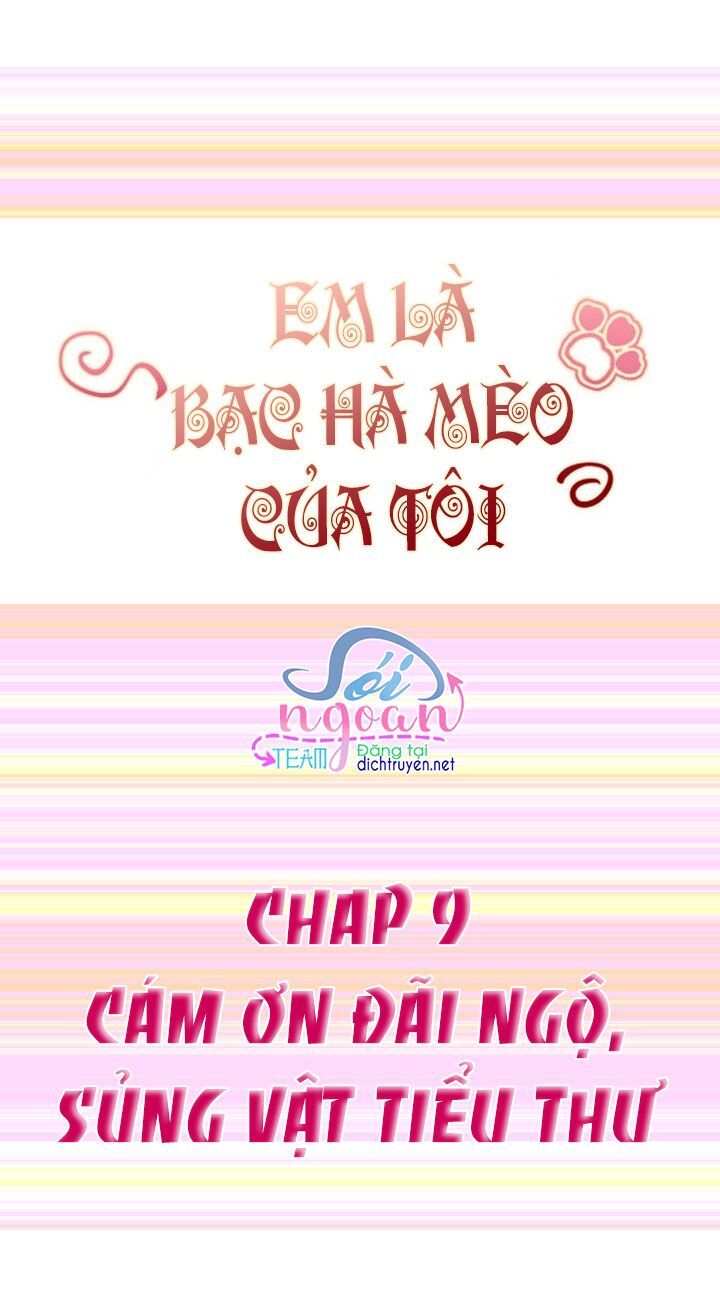 Em Là Bạc Hà Mèo Của Tôi Chapter 9 - Trang 0