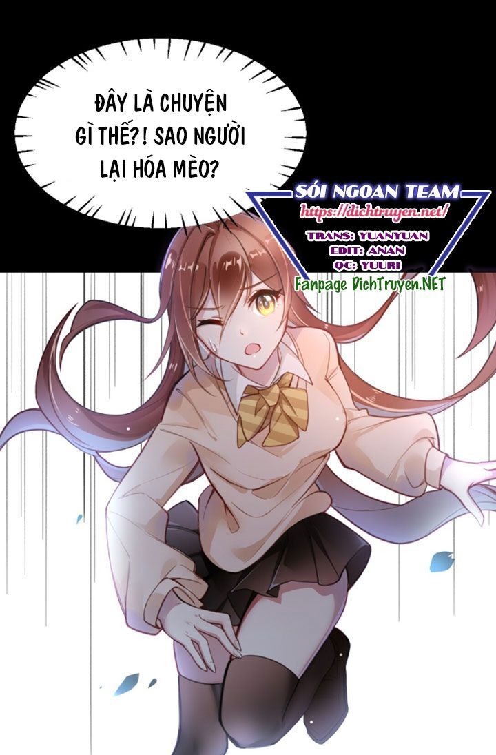 Em Là Bạc Hà Mèo Của Tôi Chapter 2 - Trang 0
