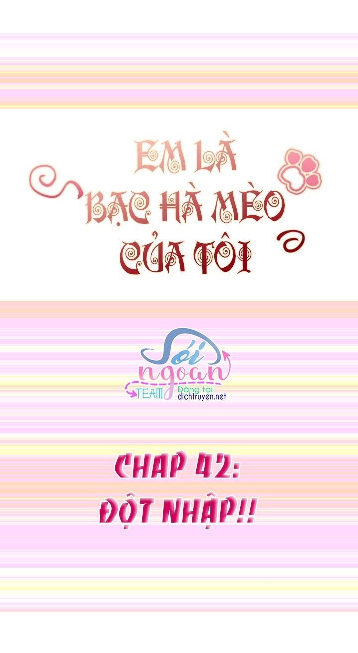Em Là Bạc Hà Mèo Của Tôi Chapter 42 - Trang 0