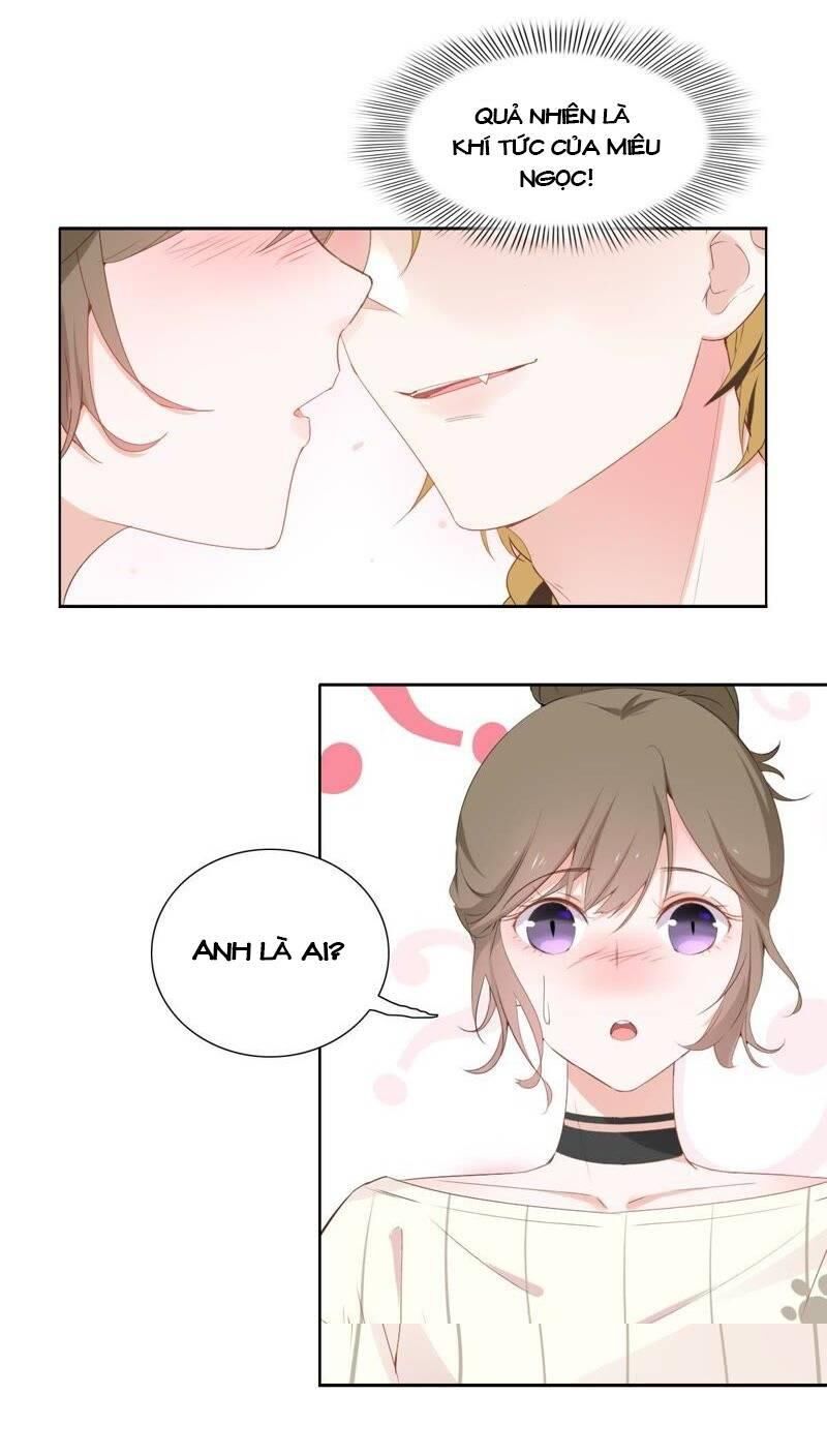 Thập Nhị Hắc Miêu Chapter 2 - Trang 0