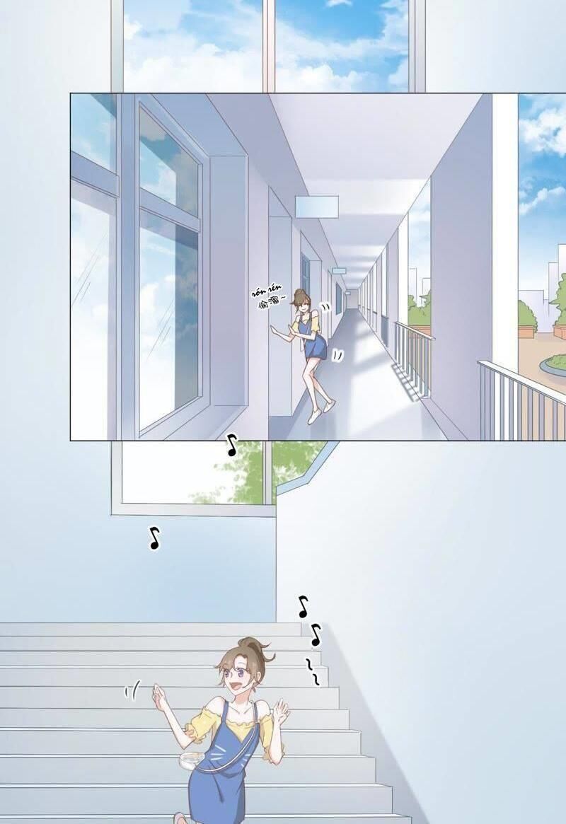 Thập Nhị Hắc Miêu Chapter 8 - Trang 1