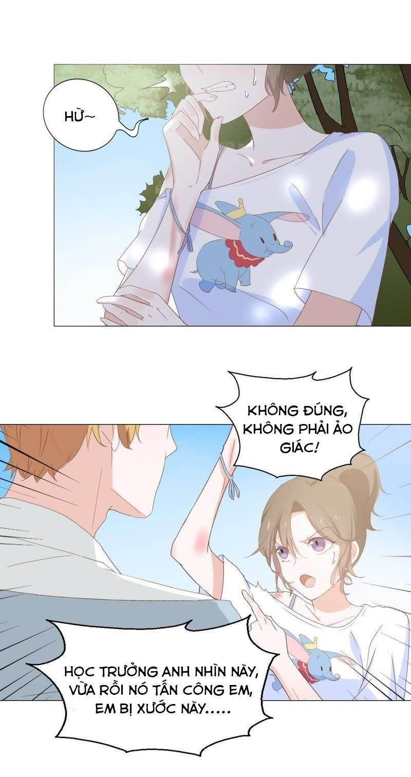 Thập Nhị Hắc Miêu Chapter 6 - Trang 1