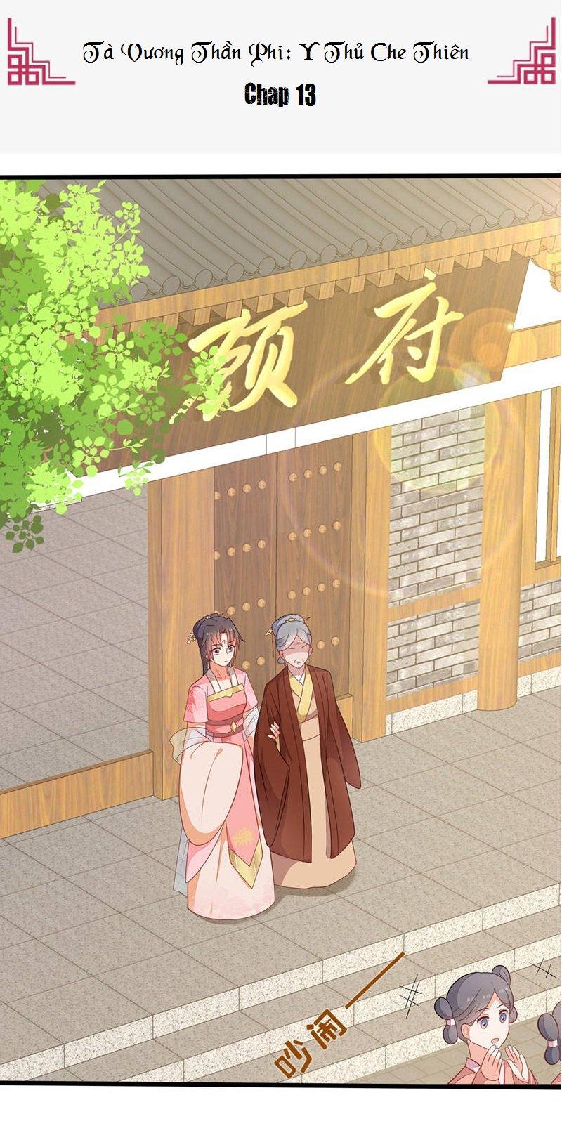 Tà Vương Thần Phi: Y Thủ Che Thiên Chapter 13 - Trang 0
