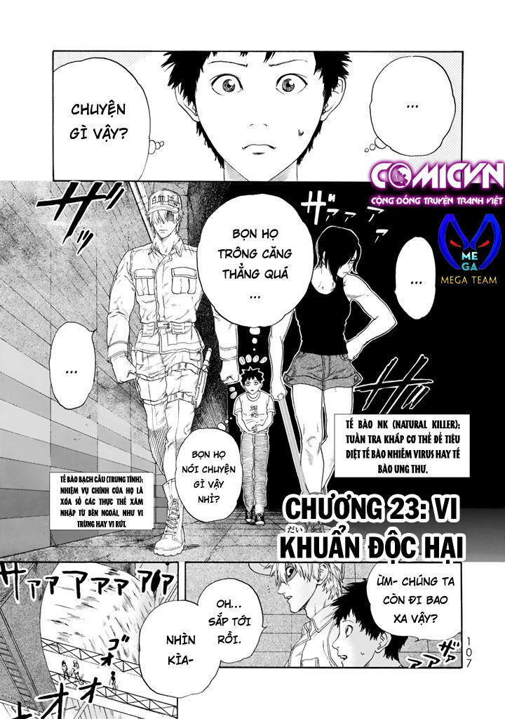Hataraku Saibou! Chapter 23 - Trang 0
