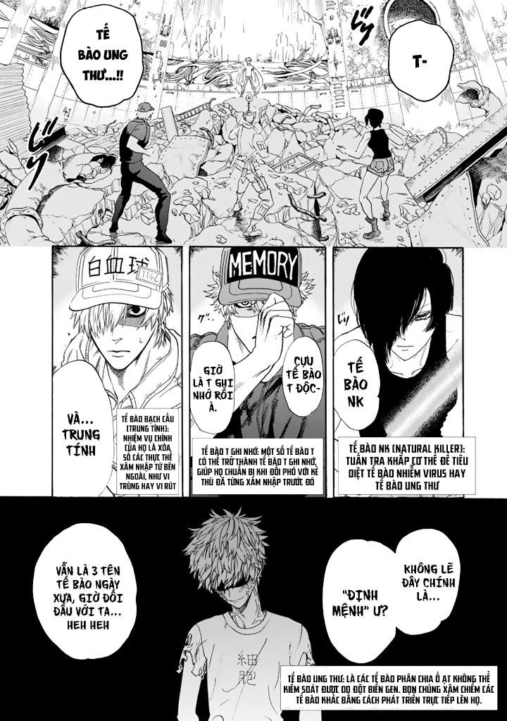 Hataraku Saibou! Chapter 24 - Trang 0