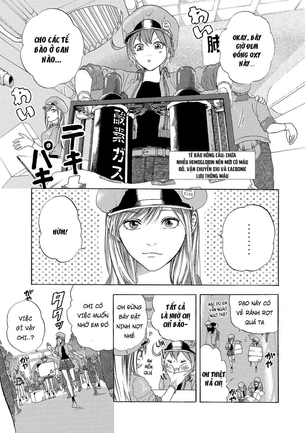 Hataraku Saibou! Chapter 17 - Trang 0
