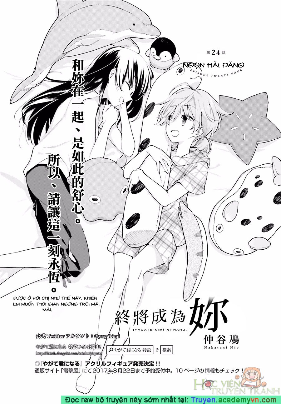Yagate Kimi Ni Naru Chapter 24 - Trang 0
