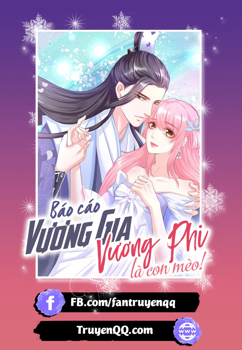 Báo Cáo Vương Gia, Vương Phi Là Một Con Mèo Chapter 5 - Trang 0
