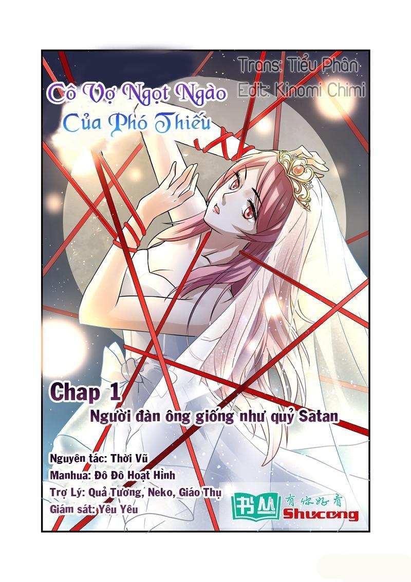 Cô Vợ Ngọt Ngào Của Phó Thiếu Chapter 1 - Trang 0