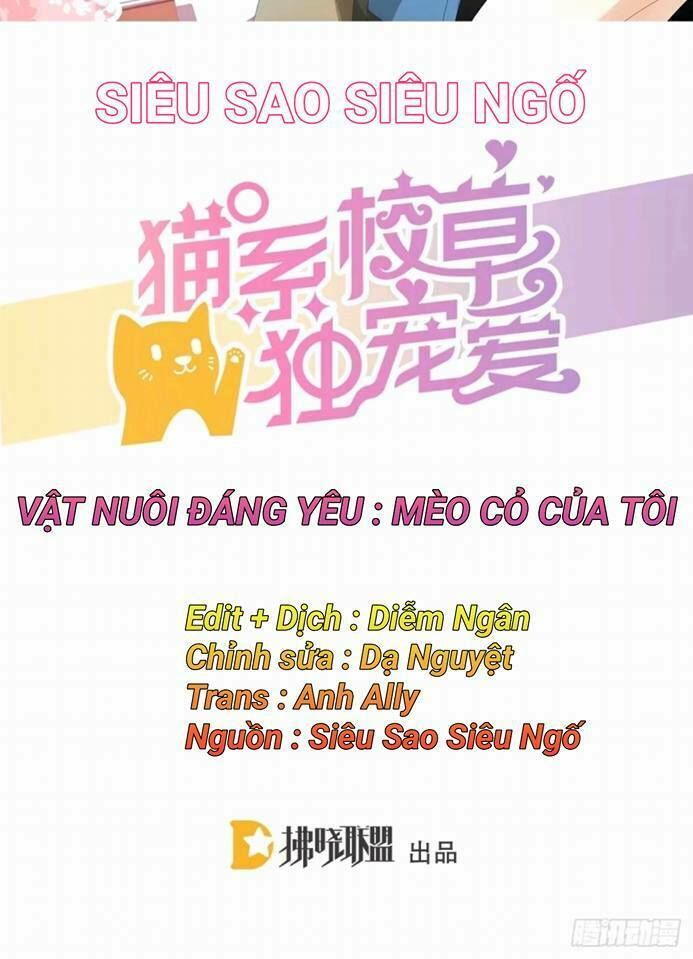 Vật Nuôi Đáng Yêu: Mèo Cỏ Của Tôi Chapter 2 - Trang 0