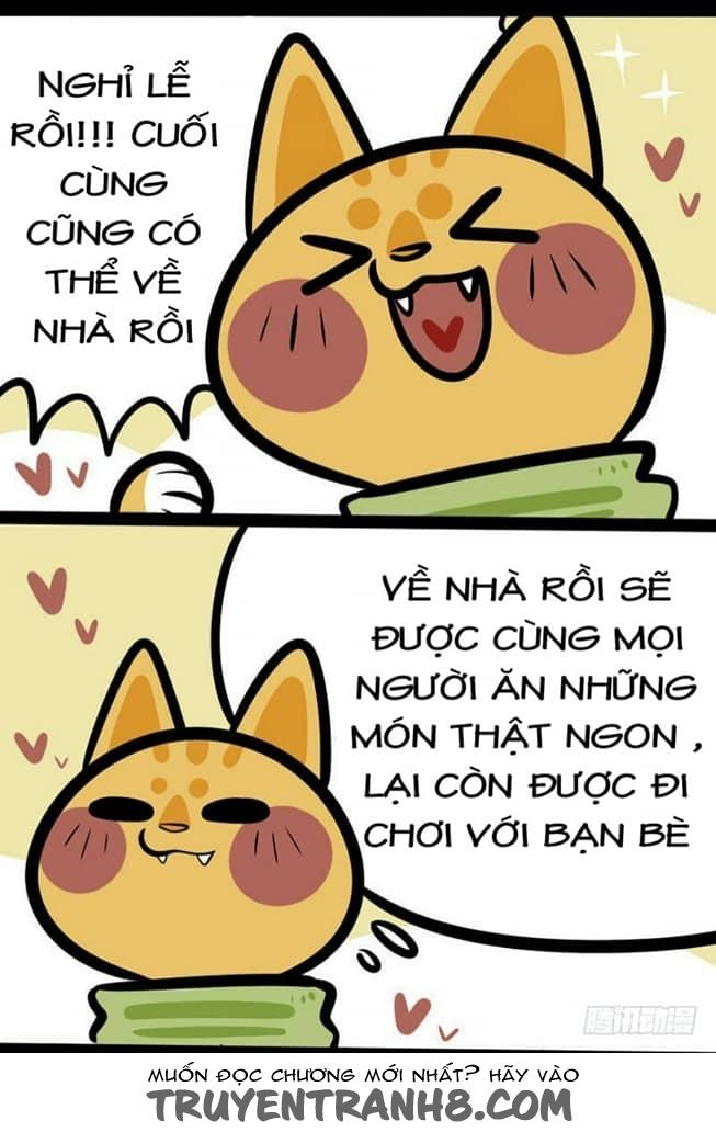 Đời Không Như Mình Tưởng Chapter 5 - Trang 1