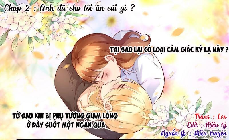 Huyết Tộc Điện Hạ Xin Đừng Cắn Tôi Chapter 2 - Trang 1