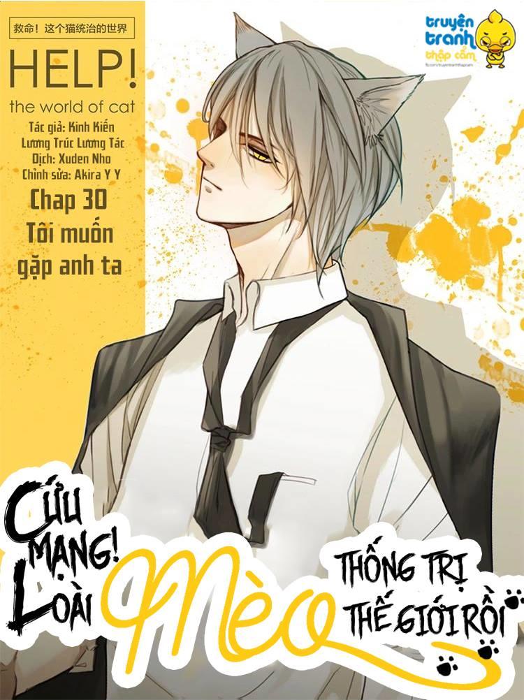Cứu Mạng! Loài Mèo Thống Trị Thế Giới Rồi! Chapter 30 - Trang 0