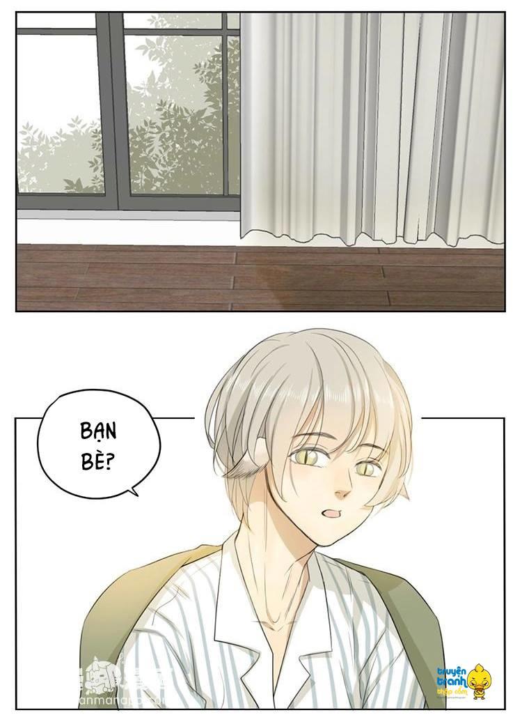 Cứu Mạng! Loài Mèo Thống Trị Thế Giới Rồi! Chapter 27 - Trang 1