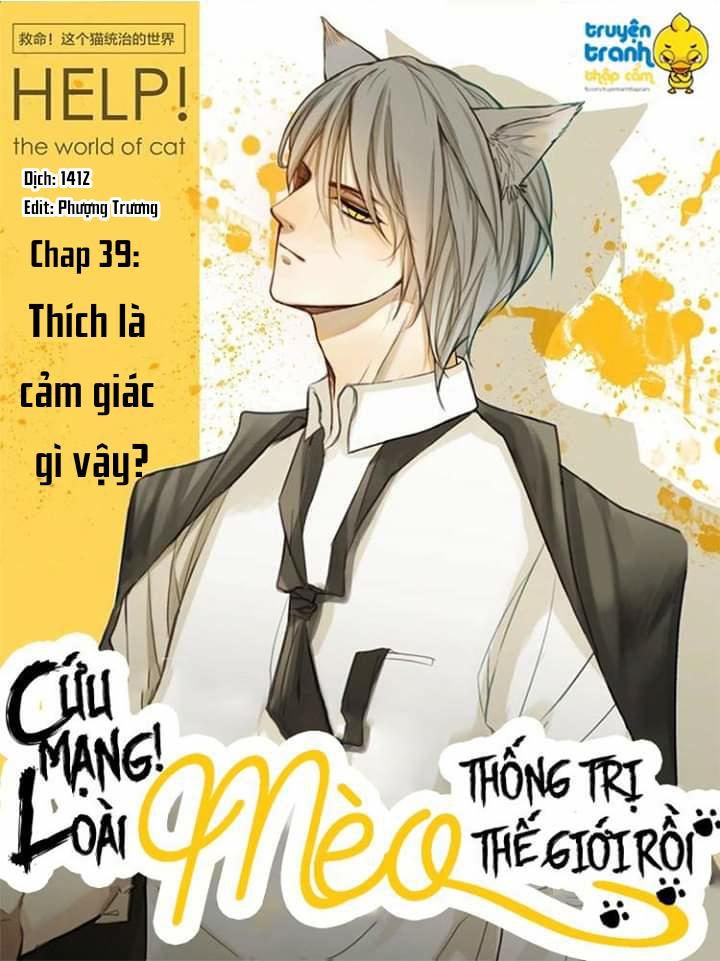 Cứu Mạng! Loài Mèo Thống Trị Thế Giới Rồi! Chapter 39 - Trang 0