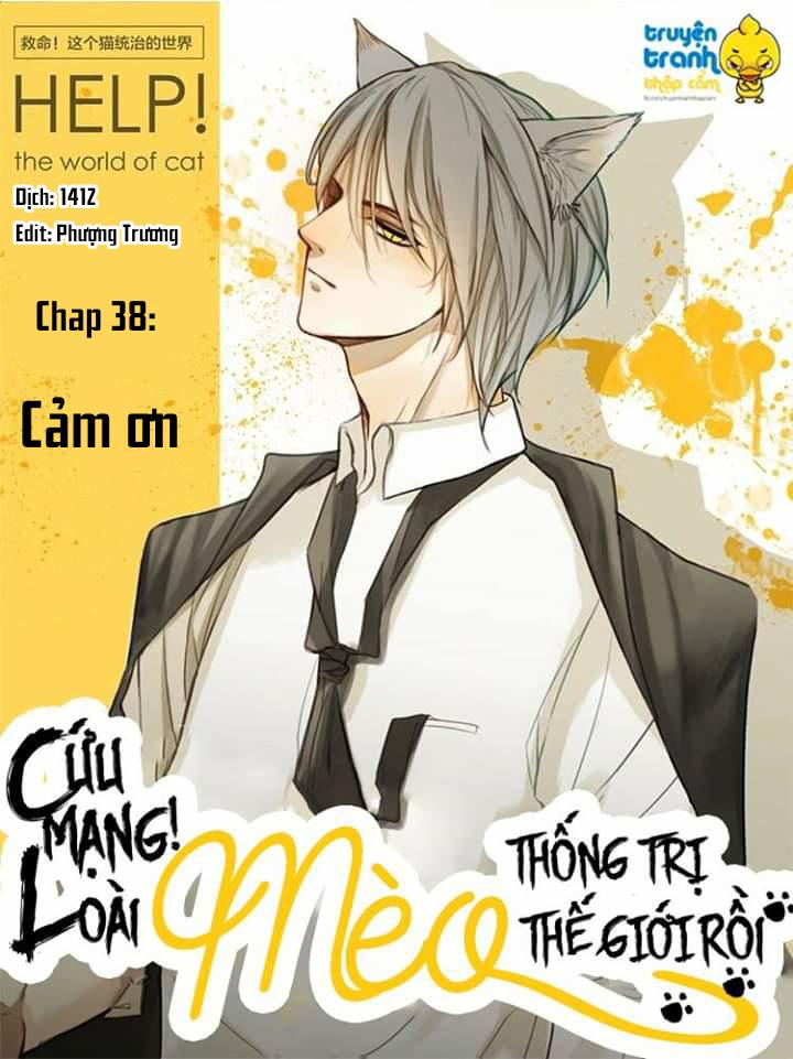 Cứu Mạng! Loài Mèo Thống Trị Thế Giới Rồi! Chapter 38 - Trang 0