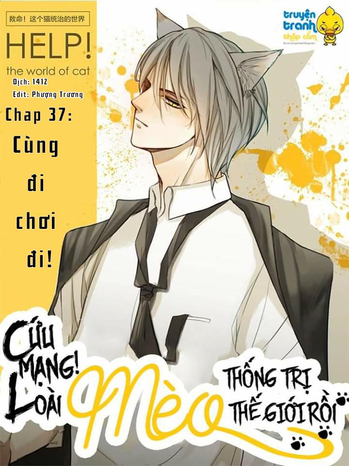 Cứu Mạng! Loài Mèo Thống Trị Thế Giới Rồi! Chapter 37 - Trang 0