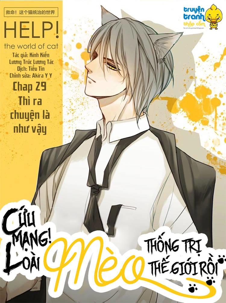 Cứu Mạng! Loài Mèo Thống Trị Thế Giới Rồi! Chapter 29 - Trang 0