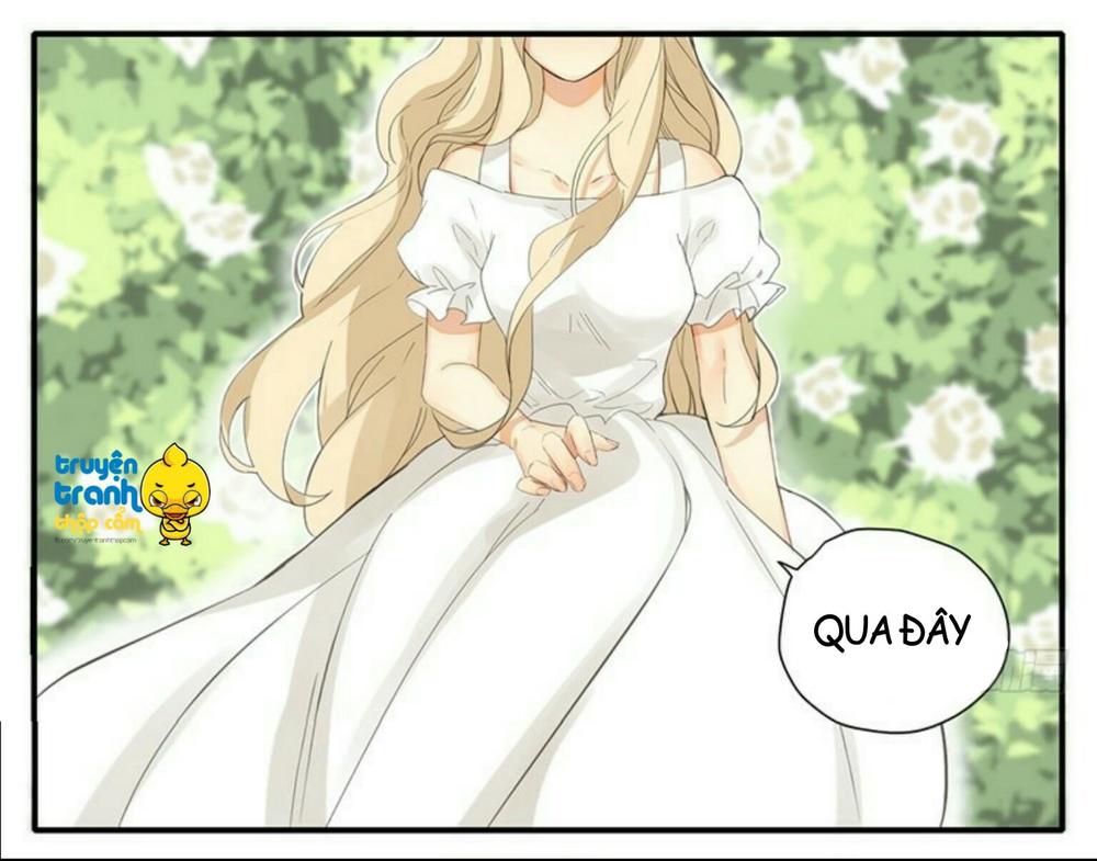 Cứu Mạng! Loài Mèo Thống Trị Thế Giới Rồi! Chapter 34 - Trang 1