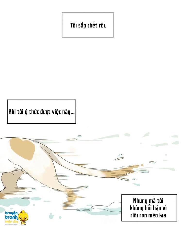 Cứu Mạng! Loài Mèo Thống Trị Thế Giới Rồi! Chapter 2 - Trang 1