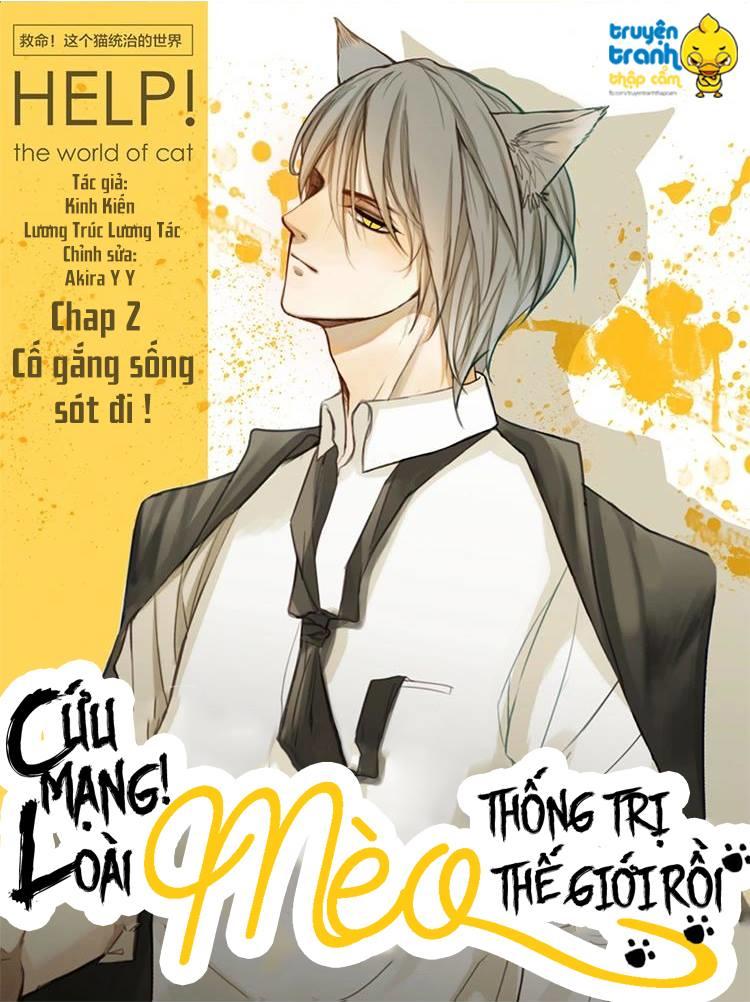 Cứu Mạng! Loài Mèo Thống Trị Thế Giới Rồi! Chapter 3 - Trang 0