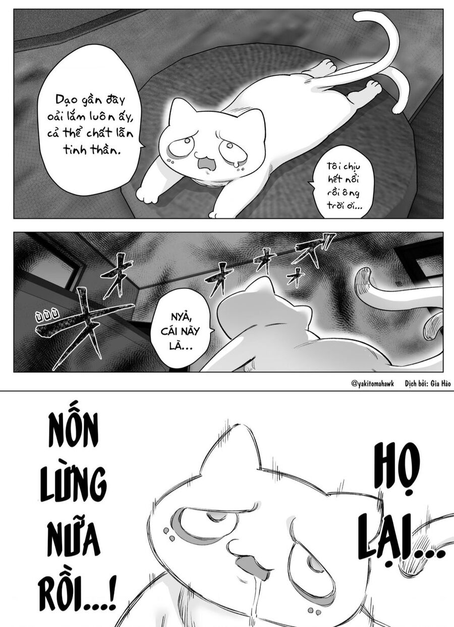 Cho Dù Cổ Không Ăn Lại Nữ Chính, Nhưng Bakeneko-Chan Vẫn Sẽ Cố Gắng Chuong 10 - Trang 0