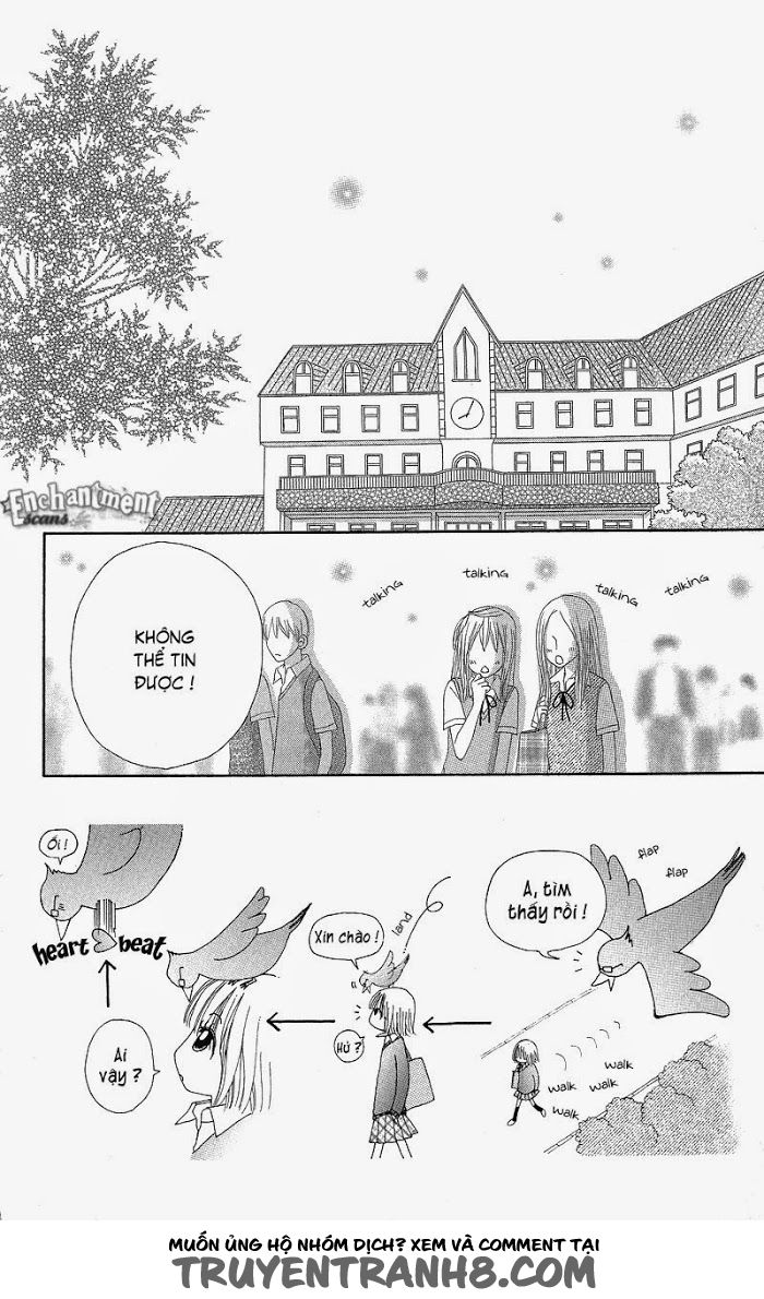 Dự Án Kéo Vàng Chapter 46 - Trang 0