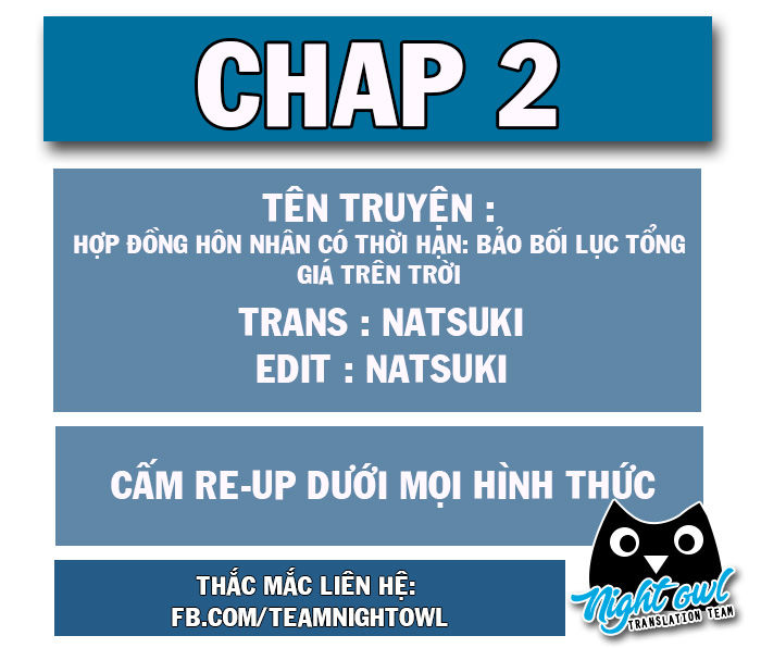 Hợp Đồng Hôn Nhân Có Thời Hạn: Bảo Bối Lục Tổng Giá Trên Trời Chapter 2 - Trang 0