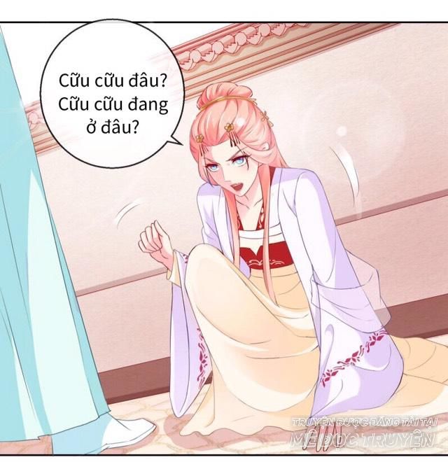 Thịnh Thế Vô Cấu Chapter 13 - Trang 0