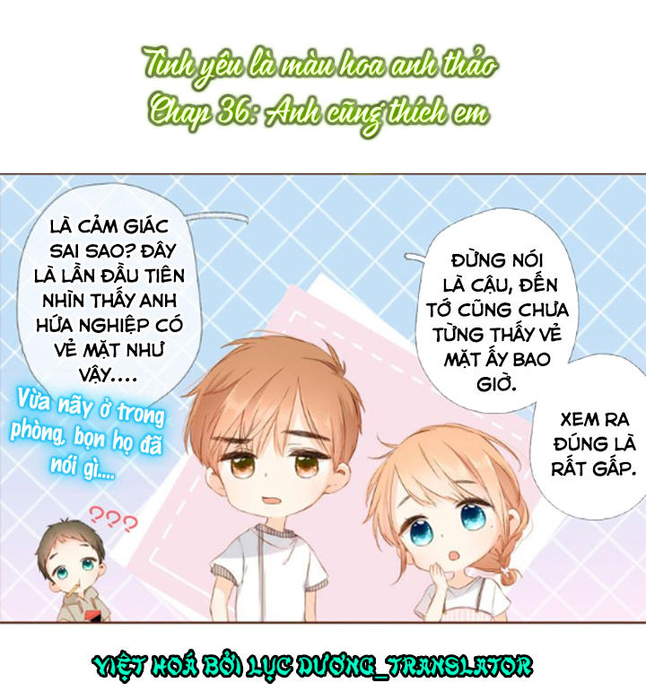 Tình Yêu Là Màu Hoa Anh Thảo Chapter 36.1 - Trang 0