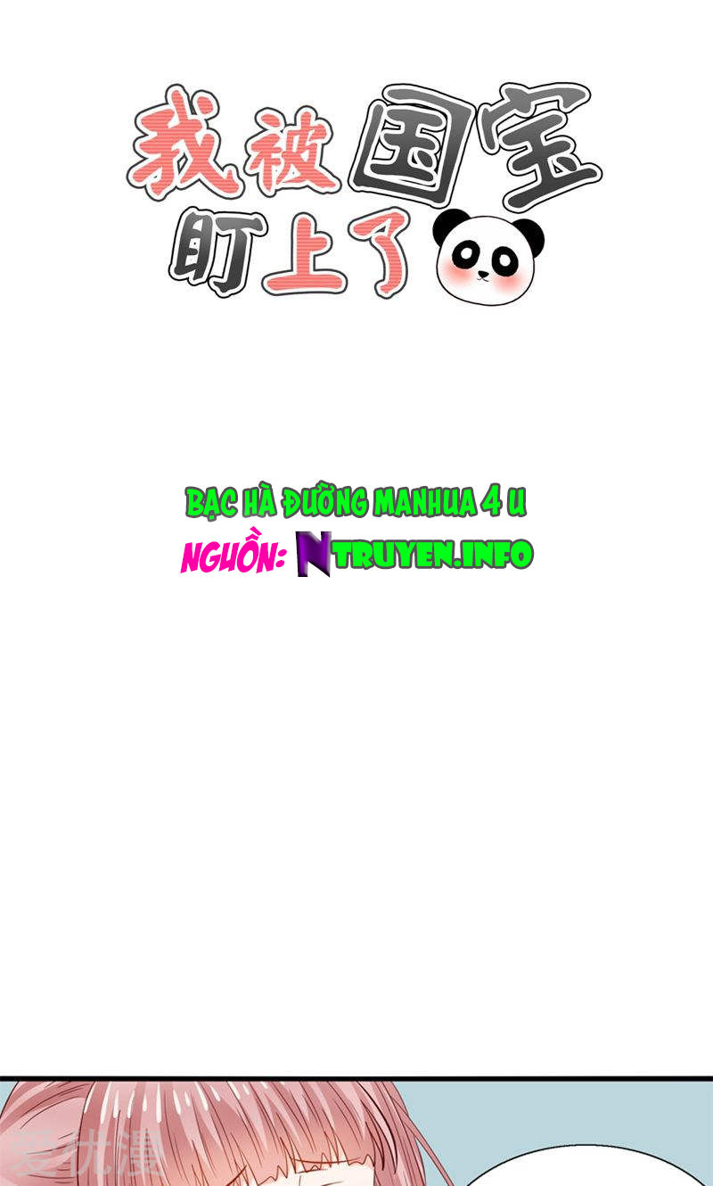 Tôi Bị Gấu Trúc Nhìn Trúng Rồi Chapter 21 - Trang 0