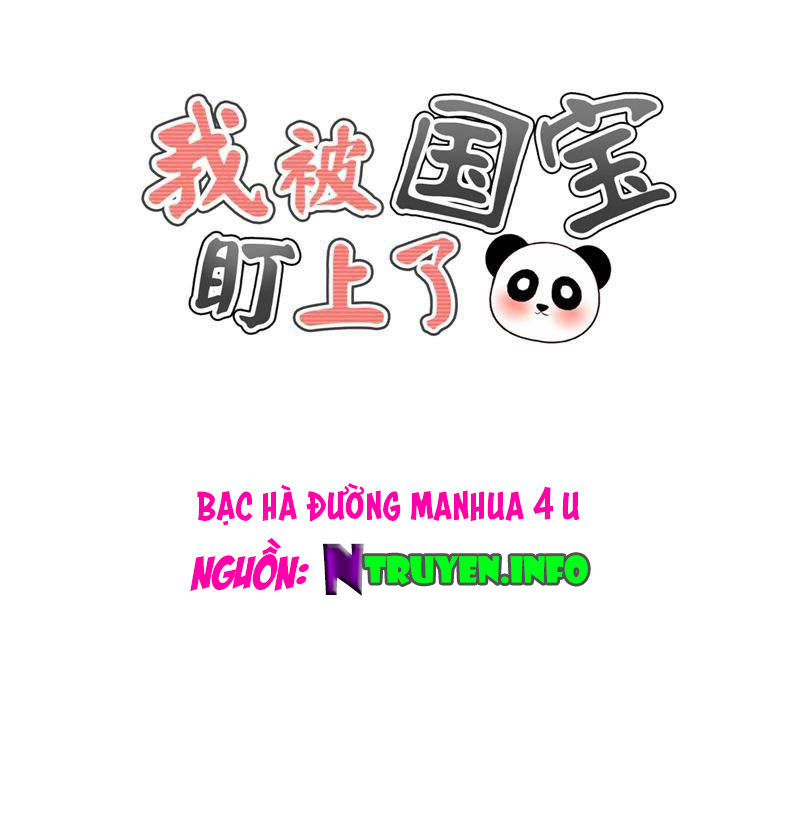 Tôi Bị Gấu Trúc Nhìn Trúng Rồi Chapter 20 - Trang 0