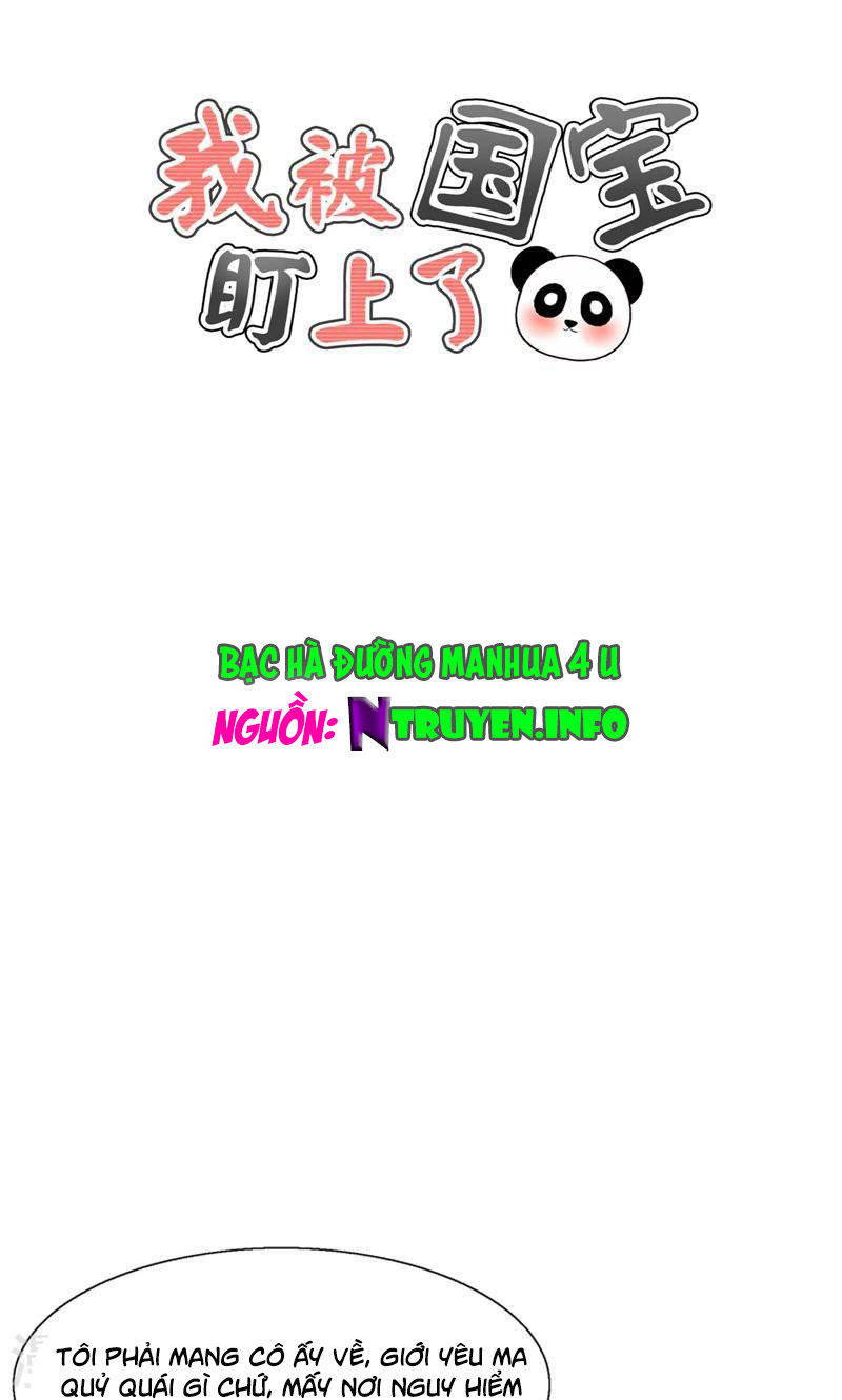Tôi Bị Gấu Trúc Nhìn Trúng Rồi Chapter 23 - Trang 0